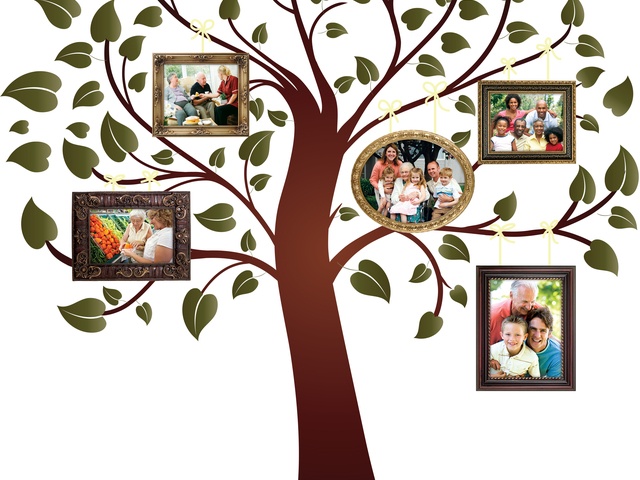 AT HOME SENIOR SERVICES